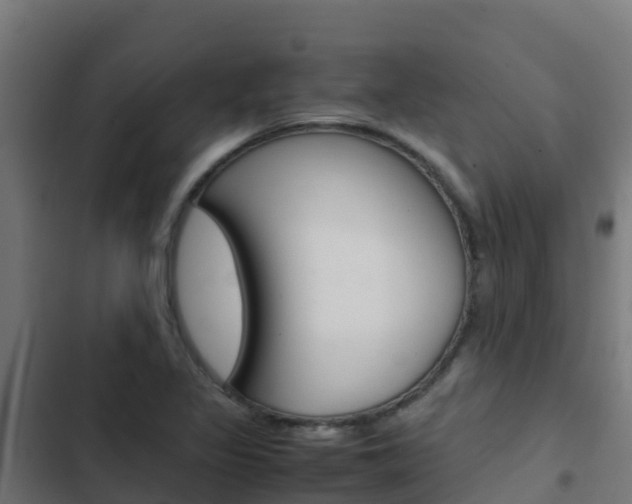 X0000103431317200809121027