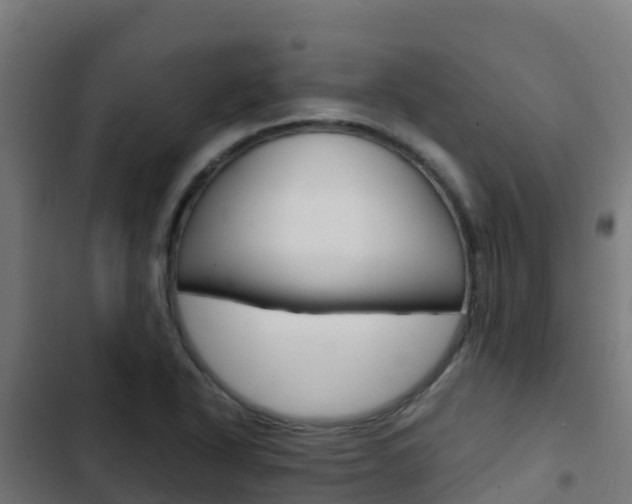 X0000103431318200809121027