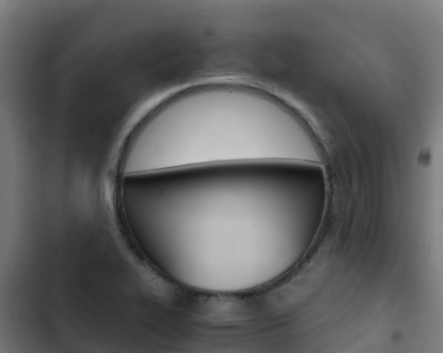 X0000103431319200809121027