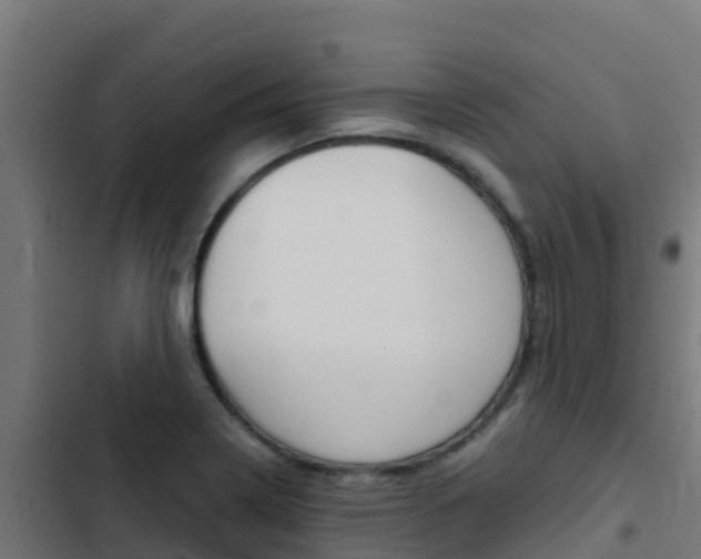 X0000103431322200809121027