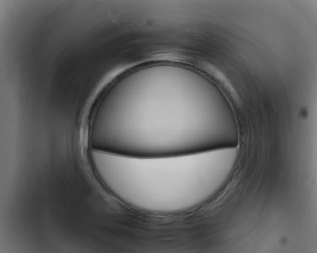 X0000103431323200809121027