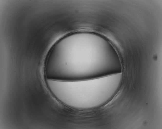 X0000103431325200809121027