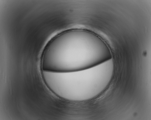 X0000103431326200809121027