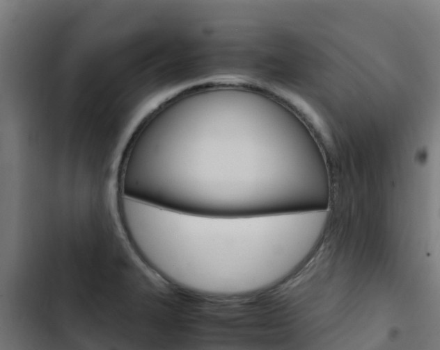 X0000103431327200809121027