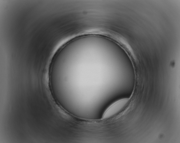 X0000103431328200809121027