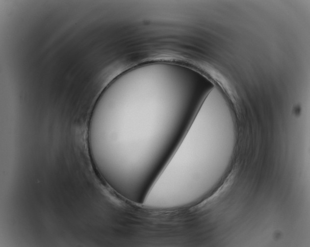 X0000103431329200809121027