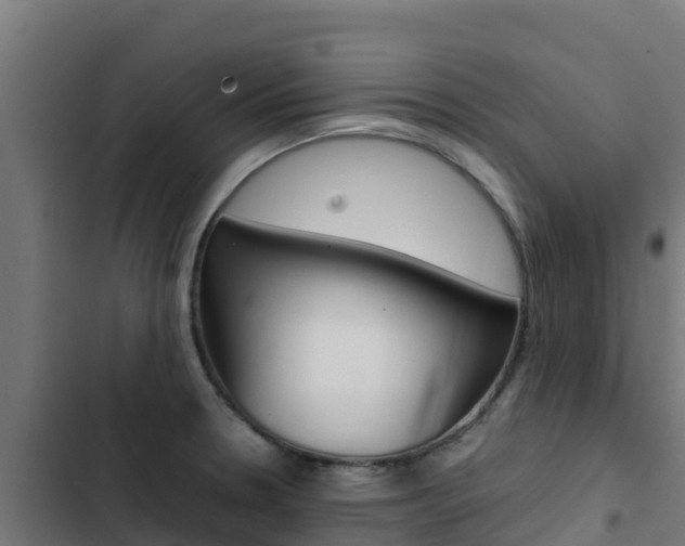 X0000103431330200809121027