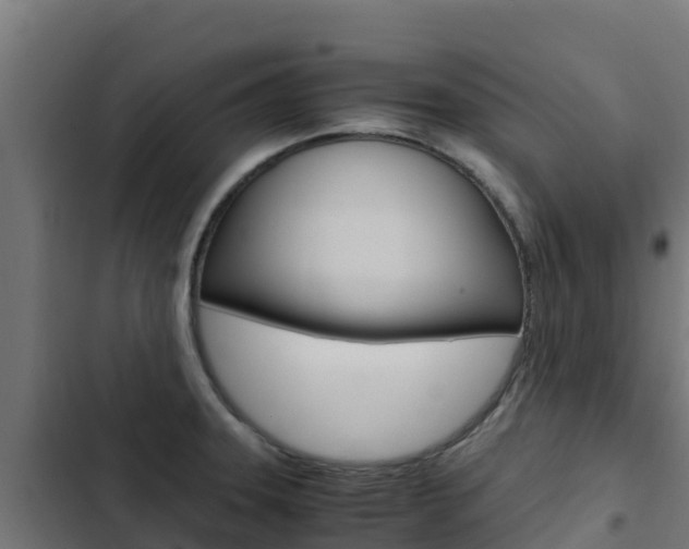 X0000103431331200809121027