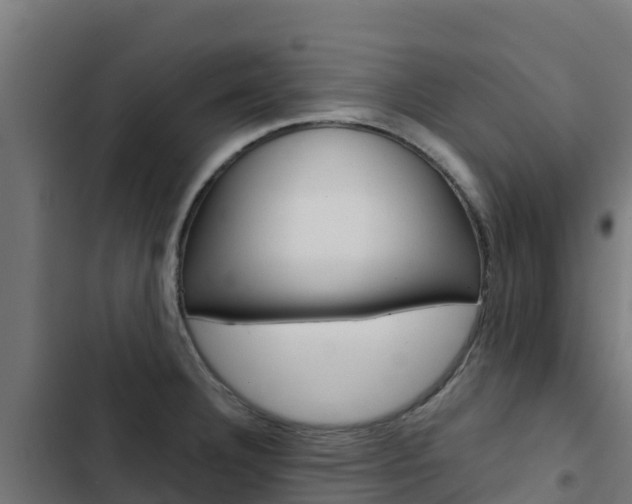 X0000103431332200809121027