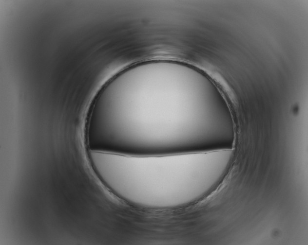 X0000103431333200809121027