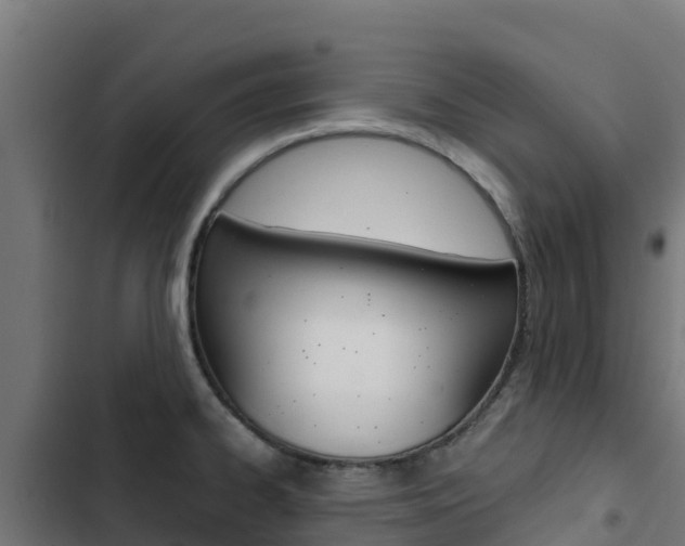 X0000103431334200809121027