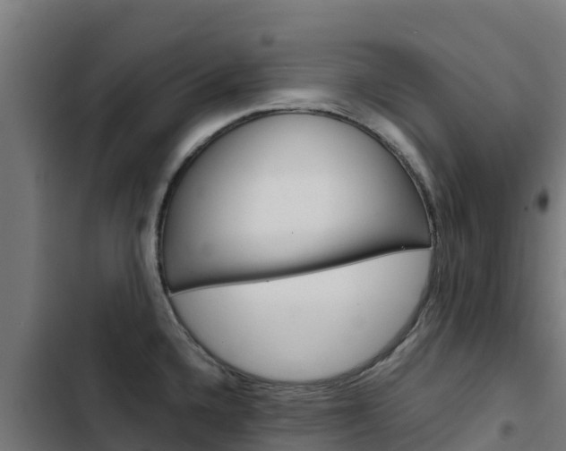 X0000103431336200809121027