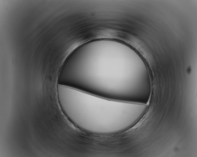 X0000103431337200809121027