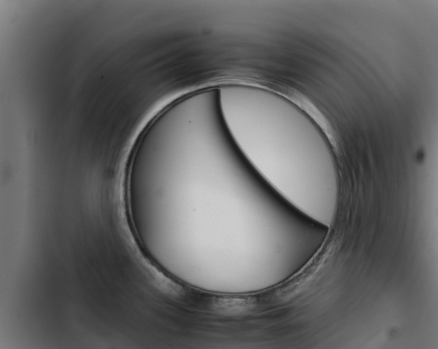 X0000103431339200809121027