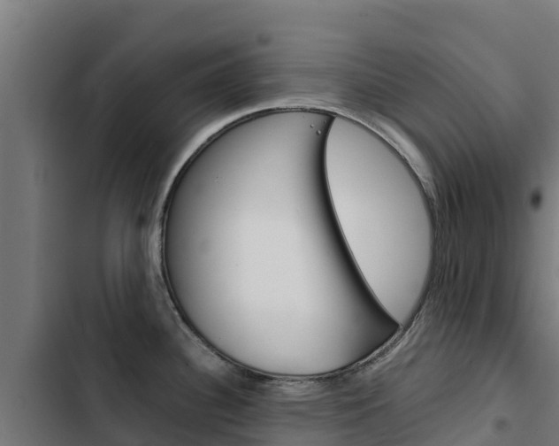 X0000103431340200809121027