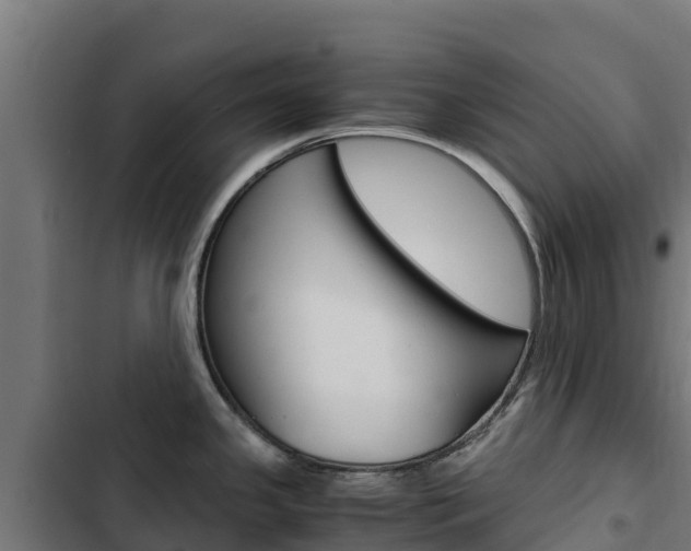 X0000103431341200809121027