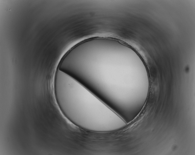 X0000103431343200809121027