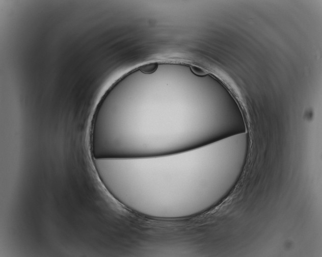 X0000103431344200809121027