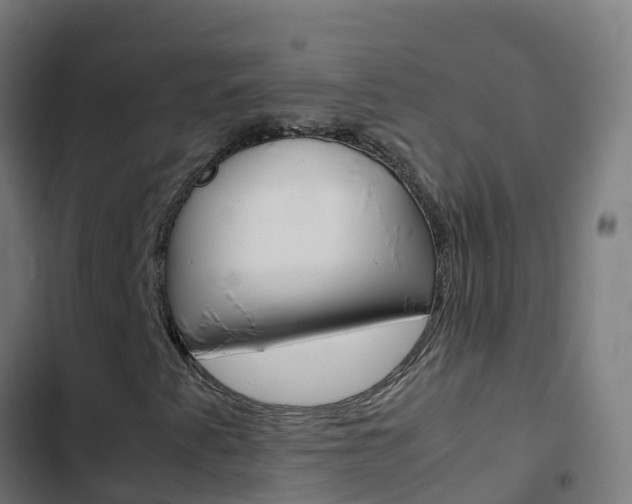 X0000103431345200809121027