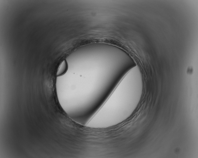 X0000103431347200809121027