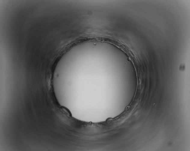 X0000103431348200809121027
