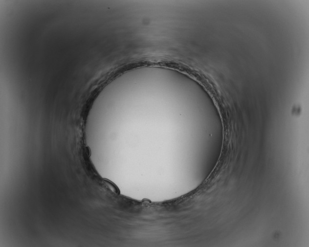 X0000103431349200809121027