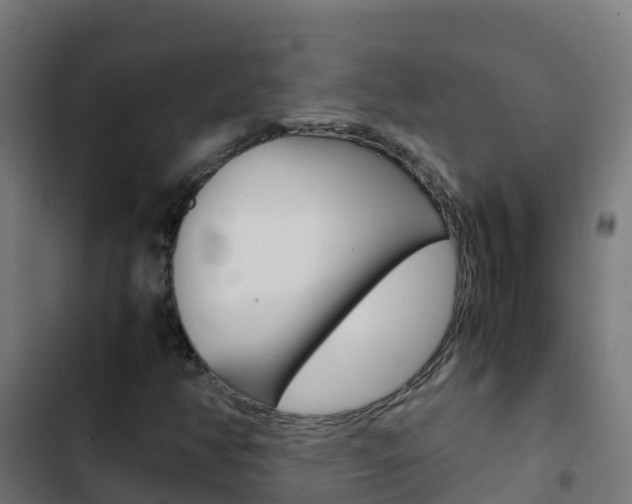 X0000103431350200809121027
