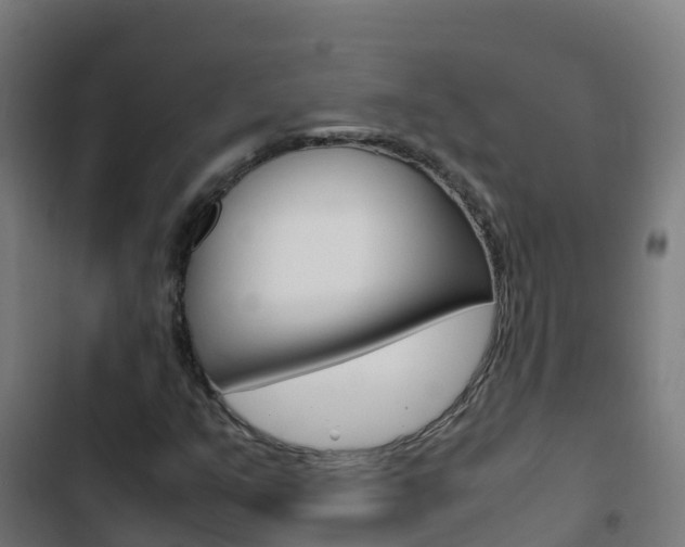 X0000103431351200809121026
