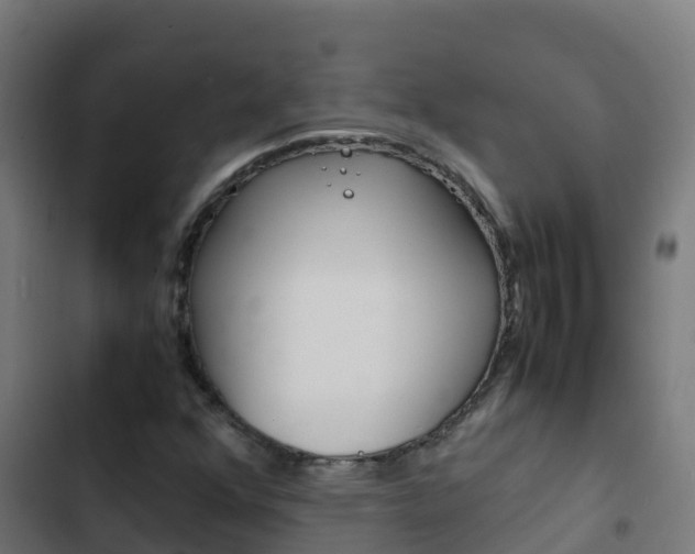 X0000103431352200809121026