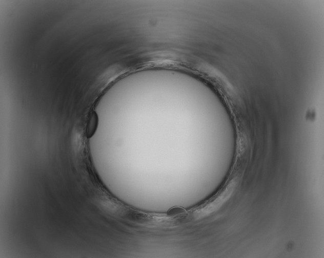 X0000103431353200809121026