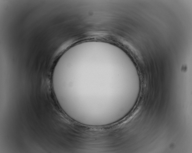 X0000103431354200809121026