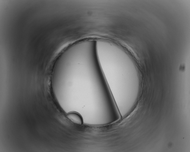 X0000103431355200809121026