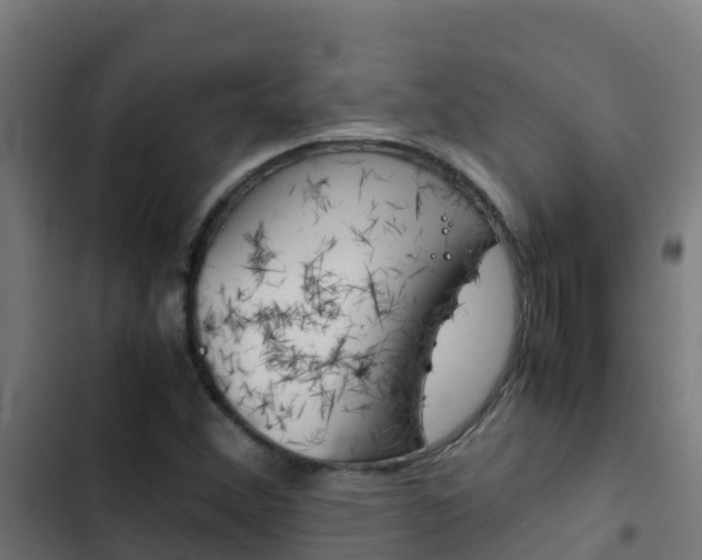 X0000103431356200809121026