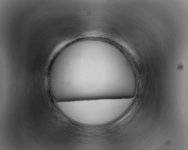 X0000103431358200809121026