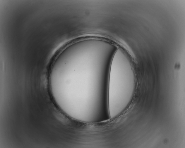 X0000103431360200809121026