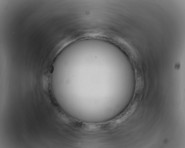 X0000103431361200809121026