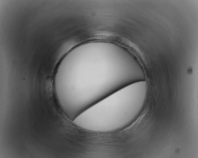 X0000103431362200809121026
