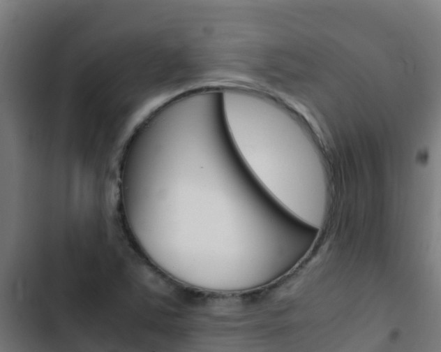 X0000103431363200809121026