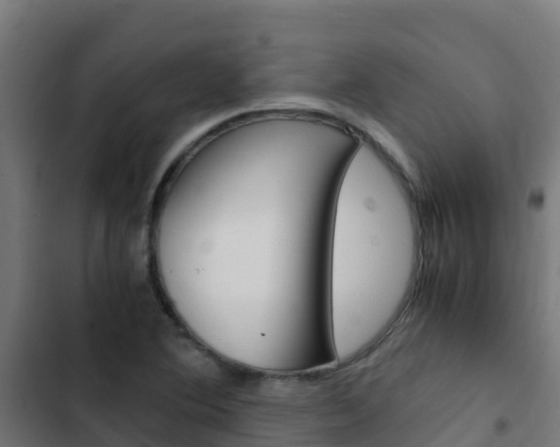 X0000103431364200809121026