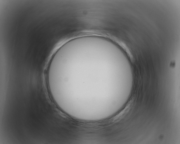 X0000103431365200809121026