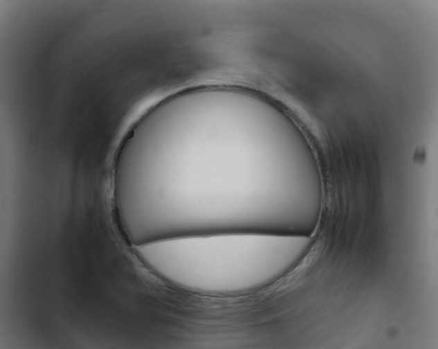 X0000103431366200809121026