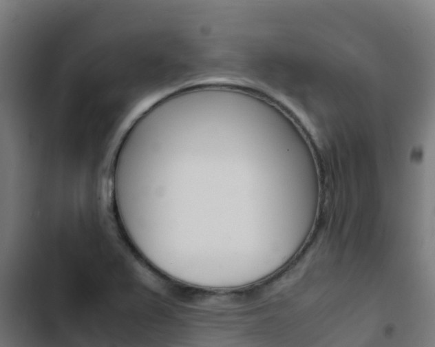 X0000103431367200809121026