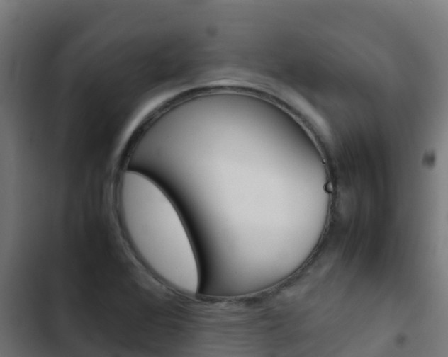 X0000103431368200809121026