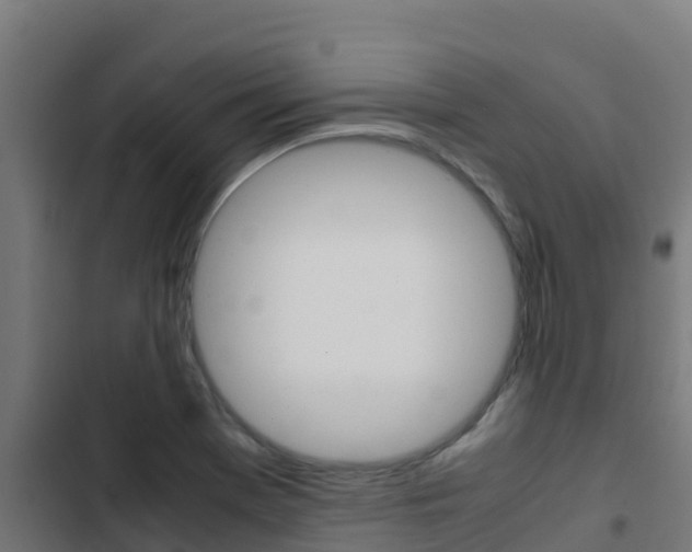 X0000103431369200809121026