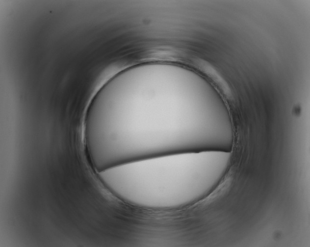 X0000103431370200809121026