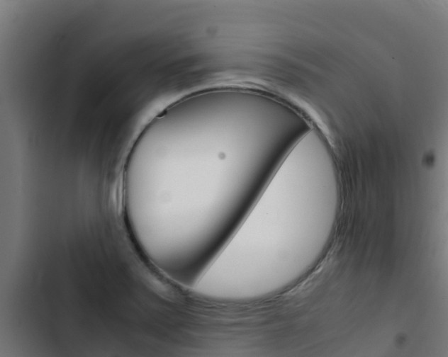 X0000103431371200809121026