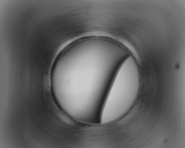 X0000103431372200809121026