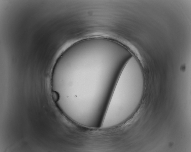X0000103431373200809121026