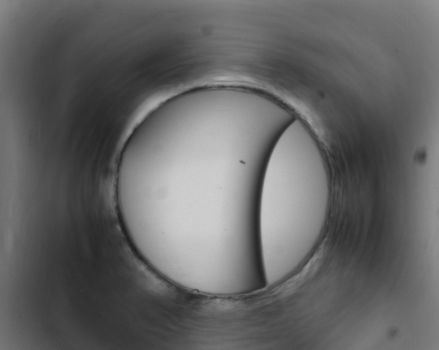 X0000103431374200809121026