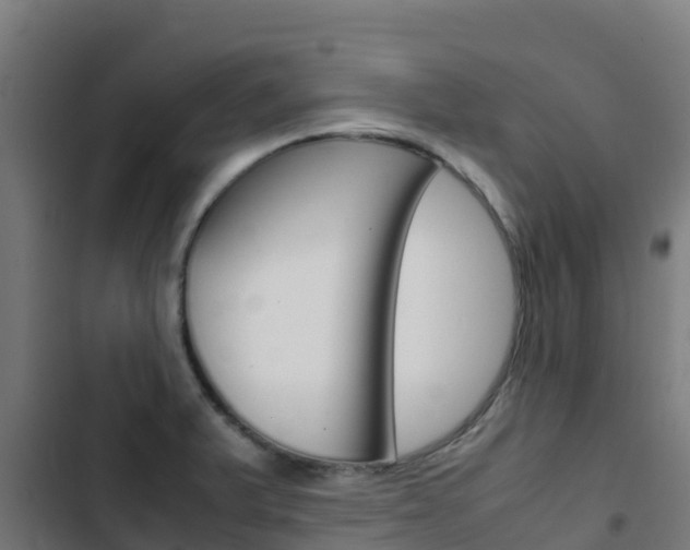 X0000103431375200809121026